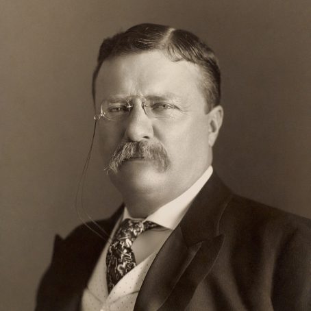 Picture of Theodore Roosevelt